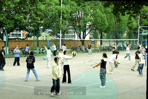 地图标点与路线的抽象线条